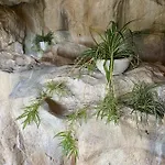 Umbria Landsted