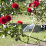 Landsted Umbria Terni