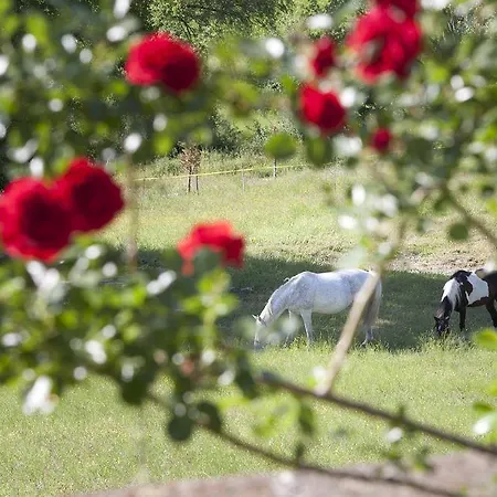 Casa rural Umbria Fabro