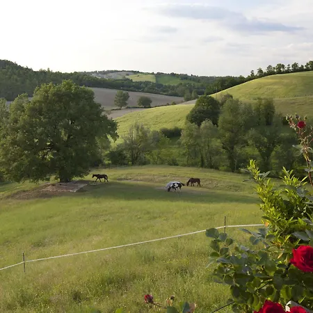 Umbria * Fabro